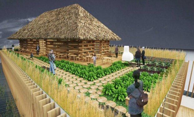 VIDEO: Romania a EXPO 2015, intervista al dott. Georgian Ghervasie